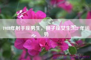 1988年射手座男生，狮子座女生2022 年运势