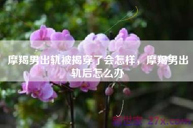 摩羯男出轨被揭穿了会怎样，摩羯男出轨后怎么办