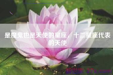 是魔鬼也是天使的星座，十二星座代表的天使