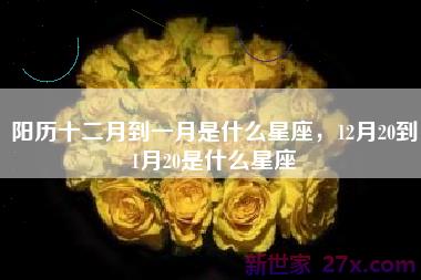 阳历十二月到一月是什么星座，12月20到1月20是什么星座