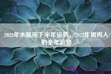 2022年水瓶座下半年运势，2022年属鸡人的全年运势
