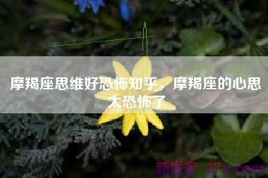 摩羯座思维好恐怖知乎，摩羯座的心思太恐怖了