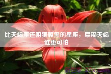 比天蝎座还阴狠腹黑的星座，摩羯天蝎谁更可怕