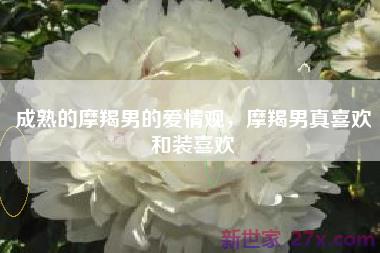 成熟的摩羯男的爱情观，摩羯男真喜欢和装喜欢