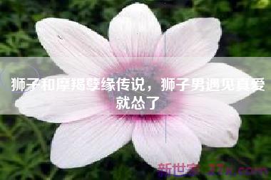 狮子和摩羯孽缘传说，狮子男遇见真爱就怂了