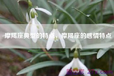 摩羯座典型的特点，摩羯座的感情特点