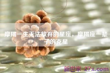 摩羯一生无法放弃的星座，摩羯座一辈子的克星