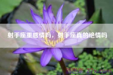 射手座重感情吗，射手座真的绝情吗