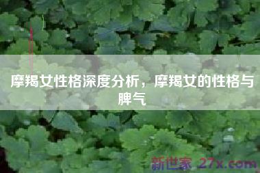 摩羯女性格深度分析，摩羯女的性格与脾气