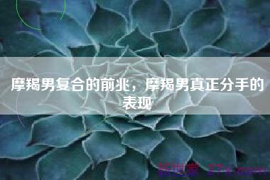 摩羯男复合的前兆，摩羯男真正分手的表现