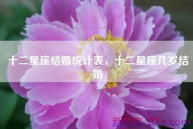 十二星座结婚统计表，十二星座几岁结婚