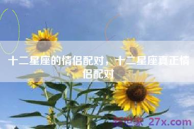 十二星座的情侣配对，十二星座真正情侣配对