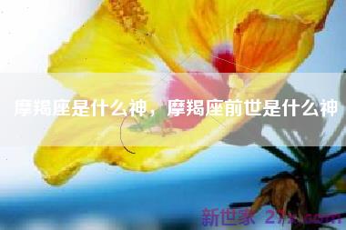 摩羯座是什么神，摩羯座前世是什么神