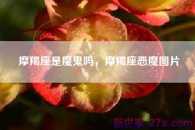 摩羯座是魔鬼吗，摩羯座恶魔图片