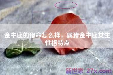 金牛座的猪命怎么样，属猪金牛座女生性格特点
