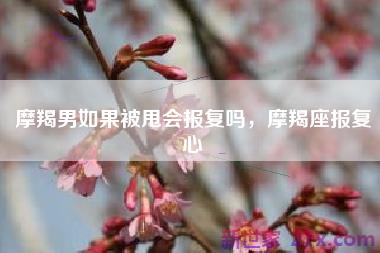 摩羯男如果被甩会报复吗，摩羯座报复心