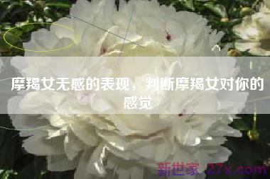 摩羯女无感的表现，判断摩羯女对你的感觉