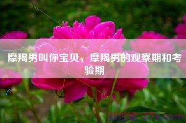 摩羯男叫你宝贝，摩羯男的观察期和考验期