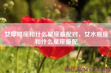 女摩羯座和什么星座最配对，女水瓶座和什么星座最配