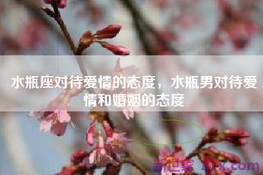 水瓶座对待爱情的态度，水瓶男对待爱情和婚姻的态度