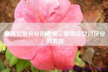 摩羯女放弃你的表现，摩羯座女讨厌你的表现