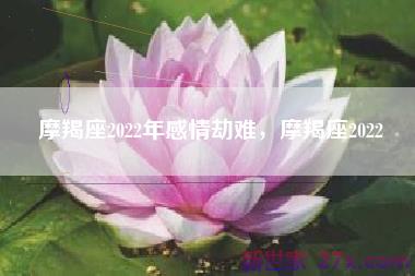 摩羯座2022年感情劫难，摩羯座2022