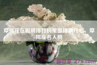 摩羯座在聪明排行榜里面排第几名，摩羯座名人榜