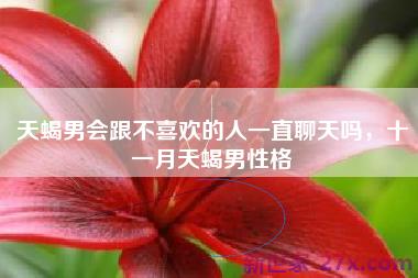 天蝎男会跟不喜欢的人一直聊天吗，十一月天蝎男性格