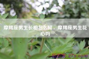 摩羯座男生长相怎么样，摩羯座男生花心吗