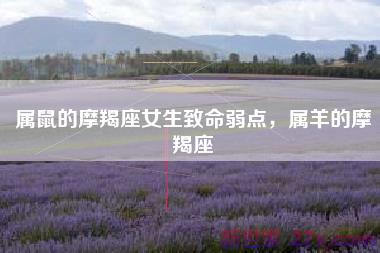 属鼠的摩羯座女生致命弱点，属羊的摩羯座
