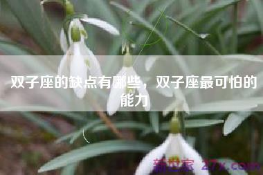 双子座的缺点有哪些，双子座最可怕的能力