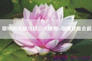 摩羯和天蝎冷战，天蝎男vs摩羯女谁会赢