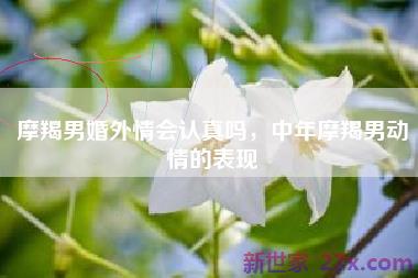 摩羯男婚外情会认真吗，中年摩羯男动情的表现