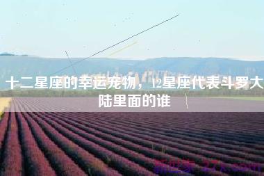 十二星座的幸运宠物，12星座代表斗罗大陆里面的谁