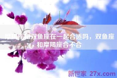 摩羯座和双鱼座在一起合适吗，双鱼座和摩羯座合不合