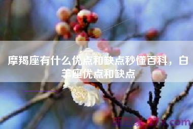 摩羯座有什么优点和缺点秒懂百科，白羊座优点和缺点