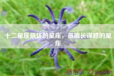 十二星座最坏的星座，最擅长谋略的星座