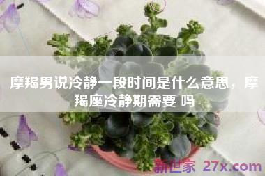 摩羯男说冷静一段时间是什么意思，摩羯座冷静期需要 吗
