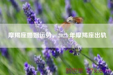 摩羯座婚姻运势，2022 年摩羯座出轨