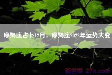 摩羯座占卜12月，摩羯座2022年运势大变