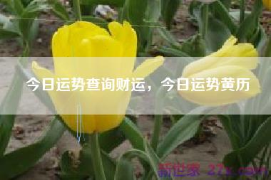 今日运势查询财运，今日运势黄历