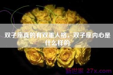 双子座真的有双重人格，双子座内心是什么样的