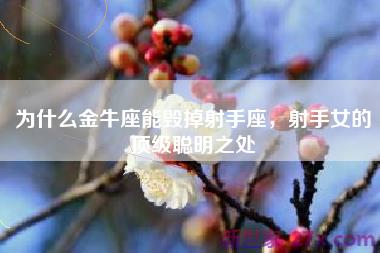 为什么金牛座能毁掉射手座，射手女的顶级聪明之处