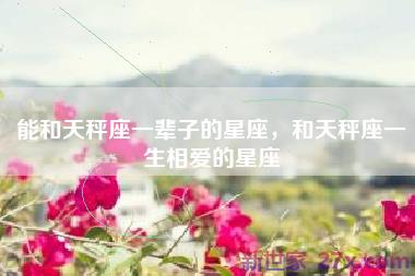 能和天秤座一辈子的星座，和天秤座一生相爱的星座