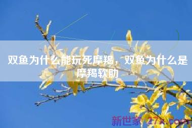双鱼为什么能玩死摩羯，双鱼为什么是摩羯软肋