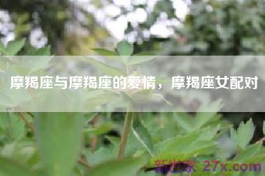摩羯座与摩羯座的爱情，摩羯座女配对