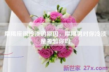 摩羯座很冷淡的原因，摩羯男对你冷淡是考验你吗
