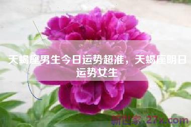 天蝎座男生今日运势超准，天蝎座明日运势女生