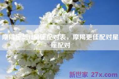 摩羯座与12星座配对表，摩羯更佳配对星座配对