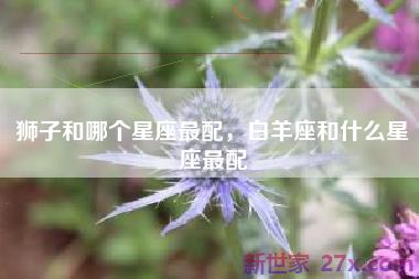 狮子和哪个星座最配，白羊座和什么星座最配